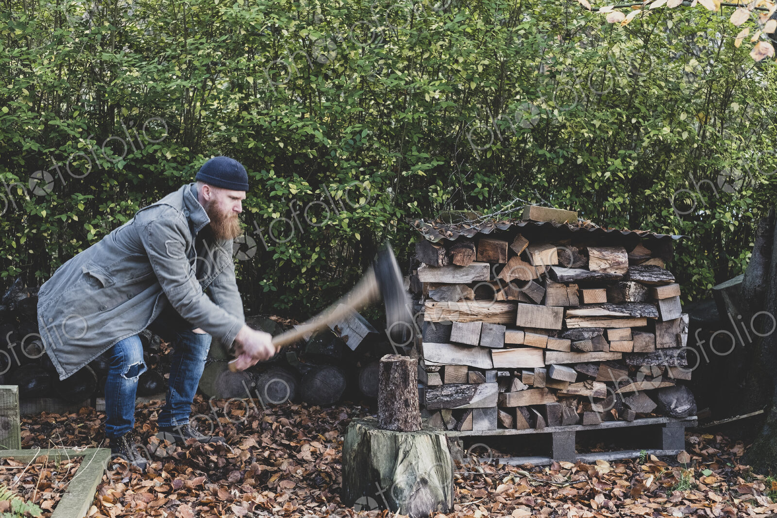 Bearded man wearing black beanie and parka standing in garden in autumn, using axe to…