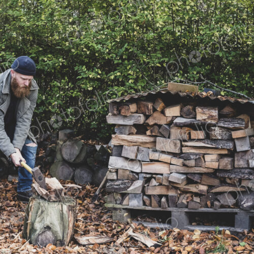 Bearded man wearing black beanie and parka standing in garden in autumn, using axe to…