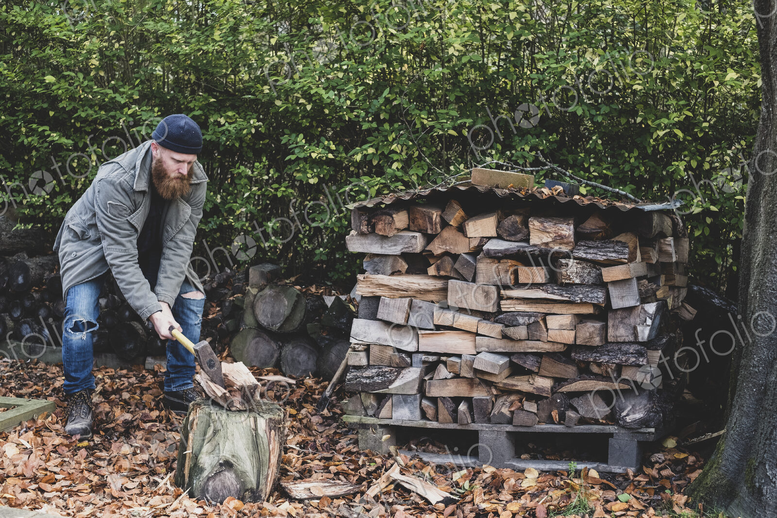 Bearded man wearing black beanie and parka standing in garden in autumn, using axe to…