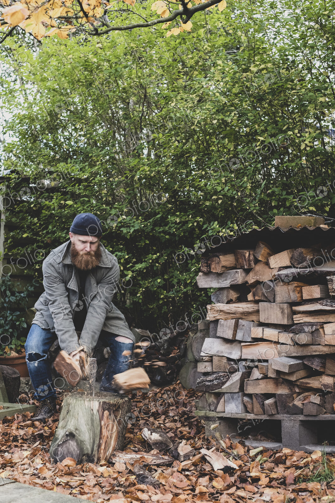 Bearded man wearing black beanie and parka standing in garden in autumn, using axe to…