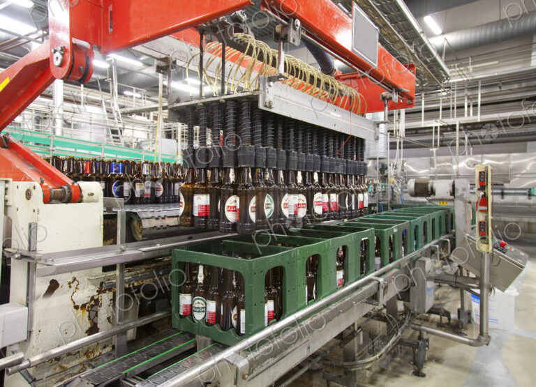Beer bottling plant with moving belts, rows of bottles, automated process, capping and…