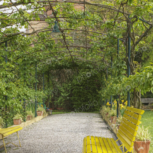Bench in Large Garden