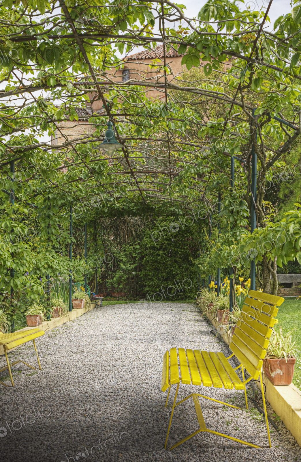 Bench in Large Garden