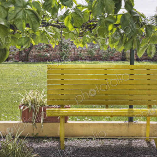 Bench in Park