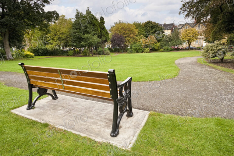 Bench in Park