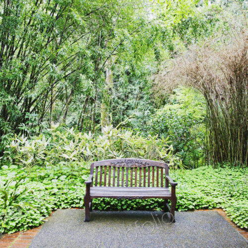 Bench in lush park, Portland, Oregon, United States Bench in lush park, Portland, Oregon, United States