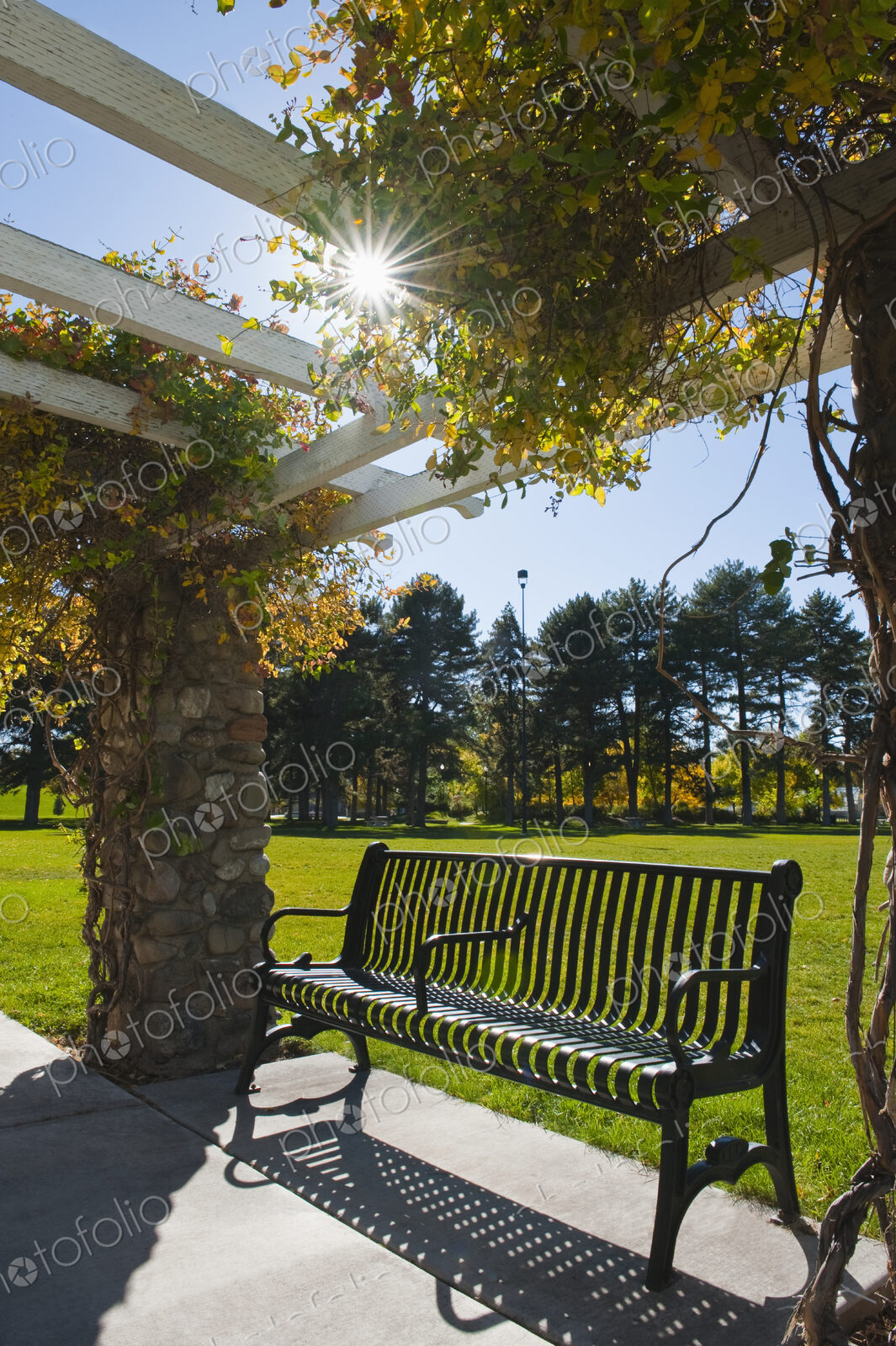 Bench seat under a pergola with climbing plants offering shade