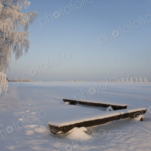Benches in the Snow