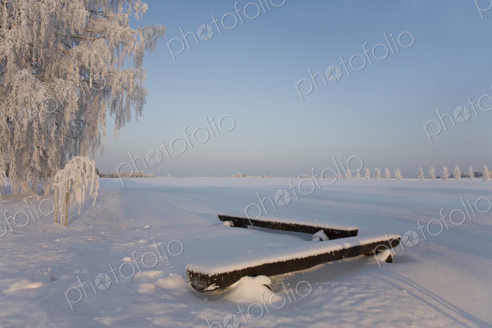 Benches in the Snow