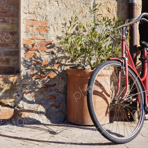 Bicycle Bicycle