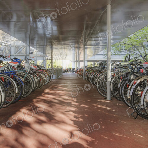 Bicycles Under a Shelter