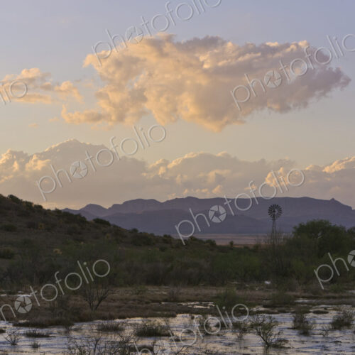 Big Bend Region After Rain Big Bend Region After Rain