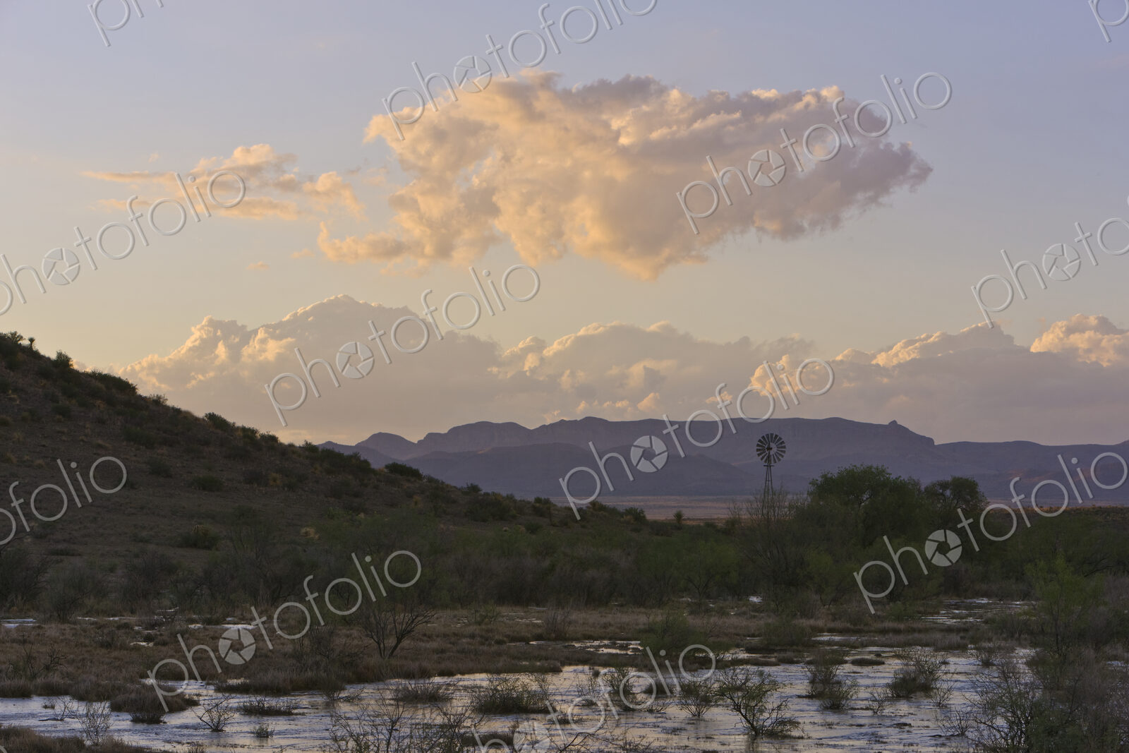 Big Bend Region After Rain