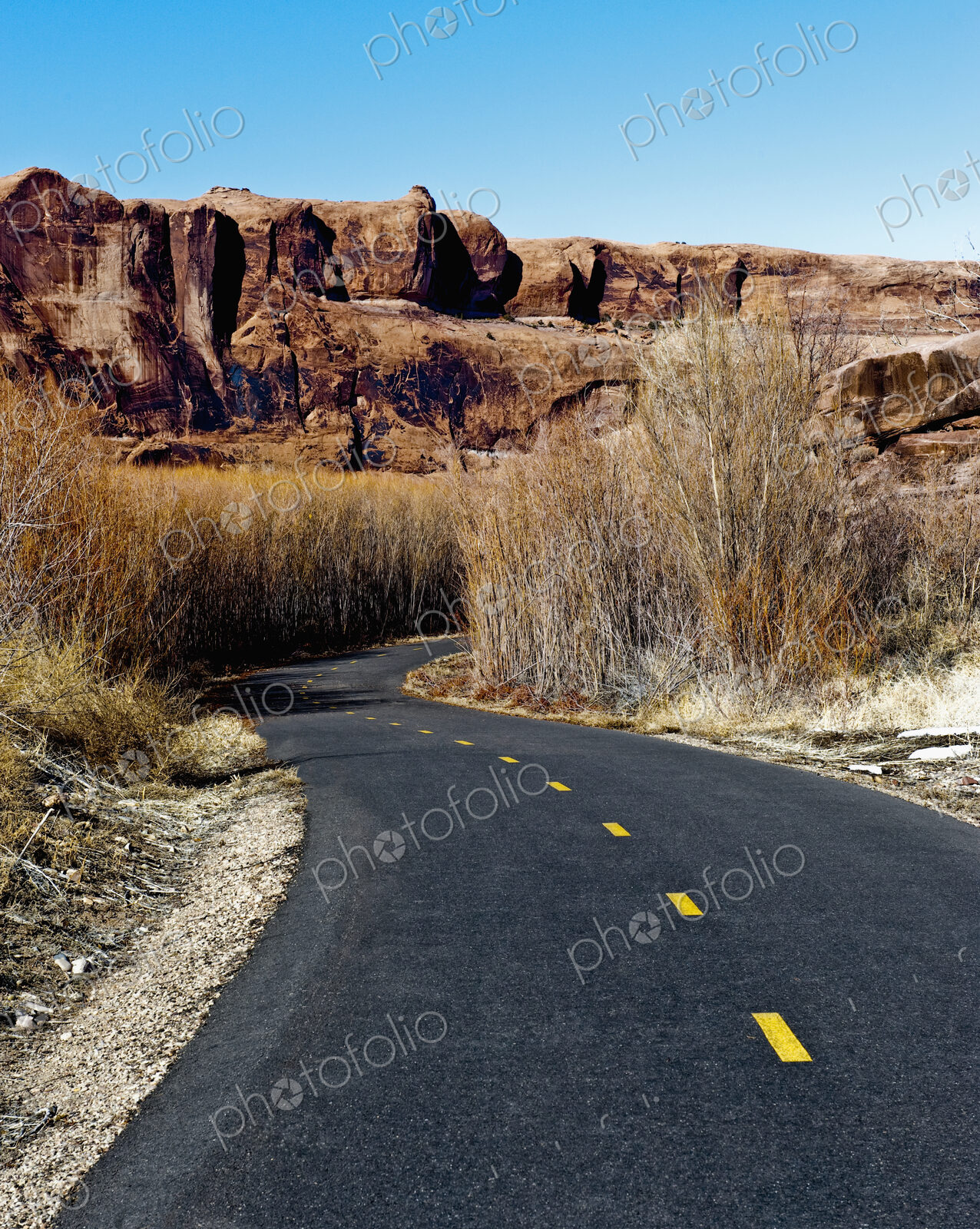 Bike Path in the Desert