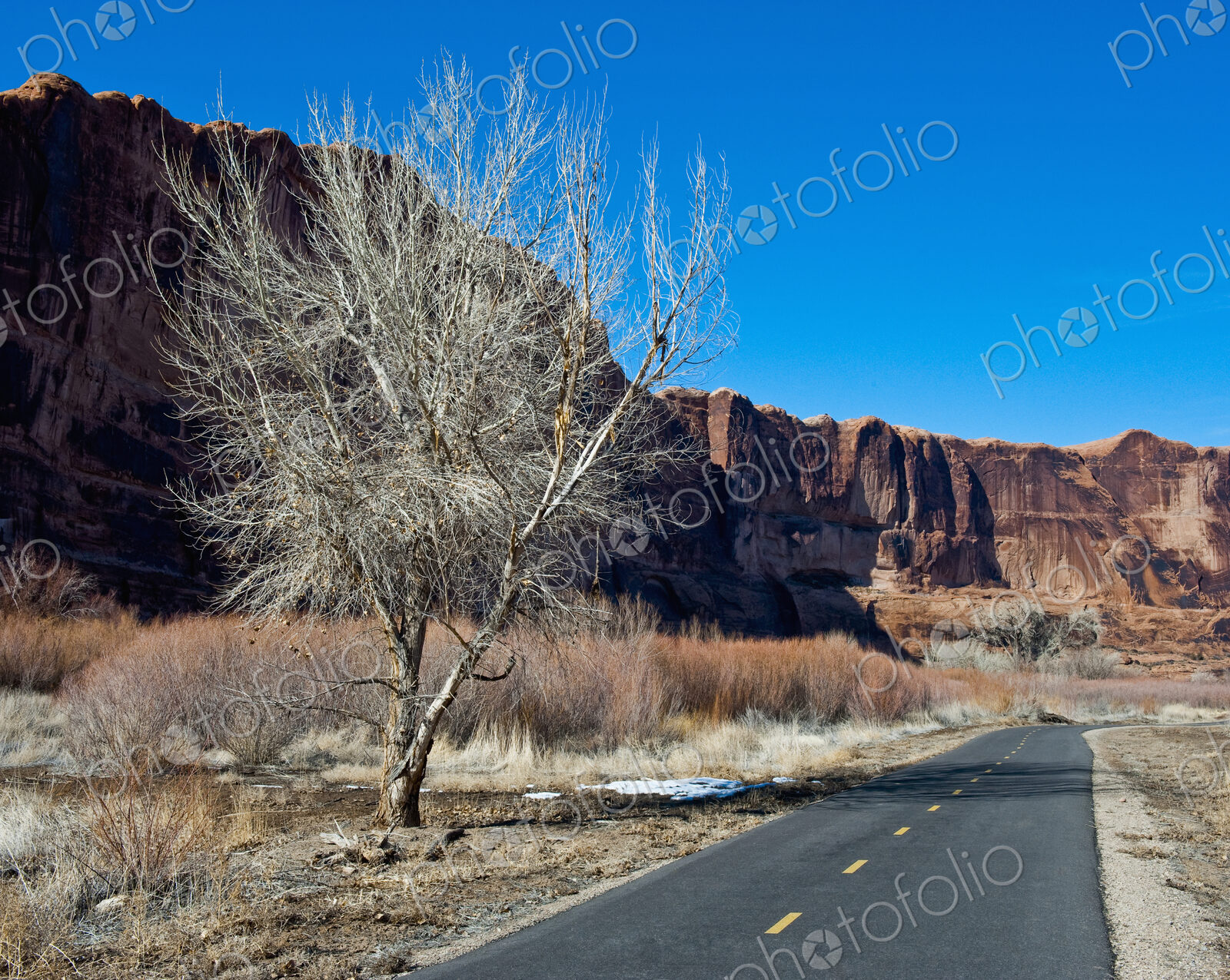 Bike Path in the Desert