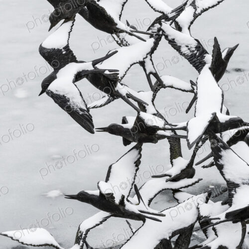 Bird sculpture, rising birds with snow covered outstretched wings, in winter above water.