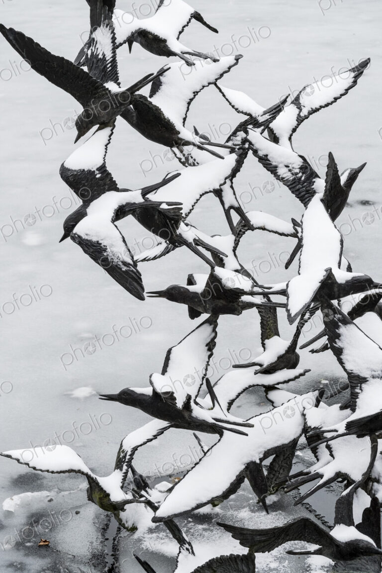 Bird sculpture, rising birds with snow covered outstretched wings, in winter above water.