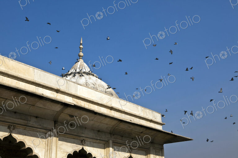 Birds Flying over Red Fort Complex