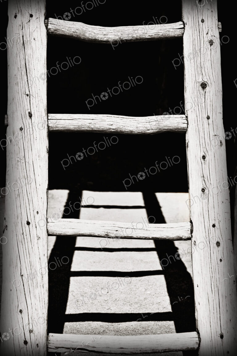Black and White Wooden Ladder