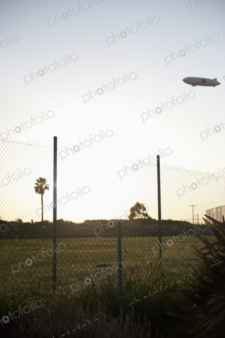 Blimp flying over park with palm trees and wire fence in foreground.