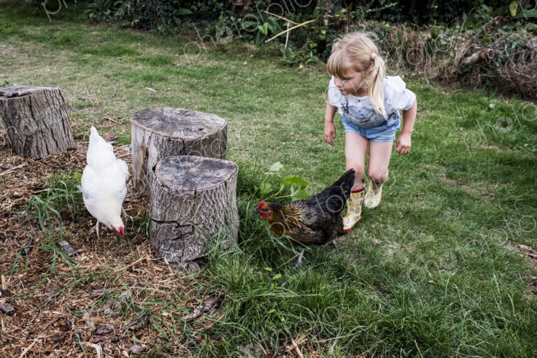 Blond girl and two chickens standing next to tree stumps in a garden.
