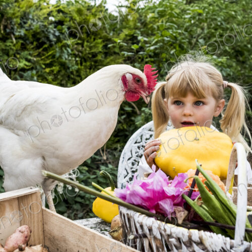 Blond girl holding yellow gourd and white chicken in a garden. Blond girl holding yellow gourd and white chicken in a garden.