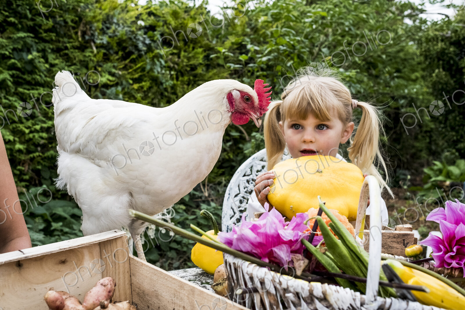 Blond girl holding yellow gourd and white chicken in a garden.