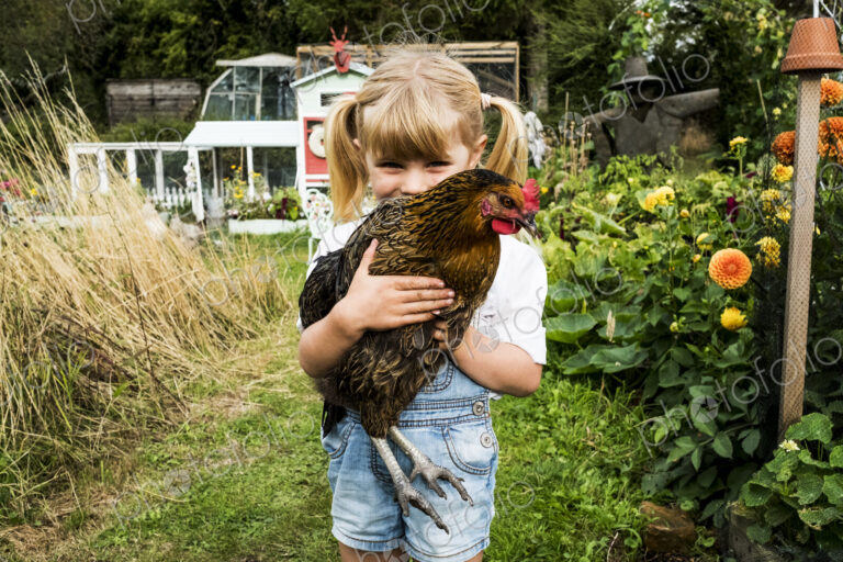 Blond girl standing in a garden, holding brown chicken.