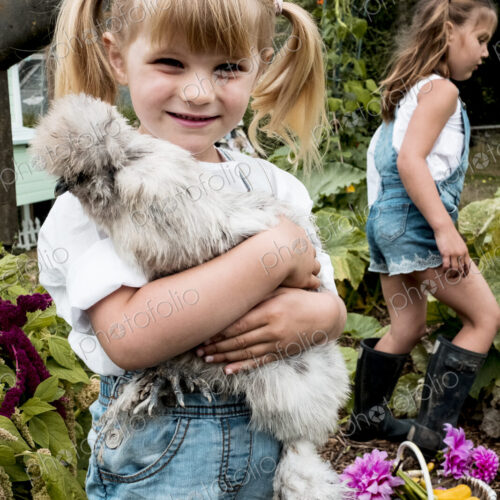 Blond girl standing in a garden, holding fluffy grey chicken. Blond girl standing in a garden, holding fluffy grey chicken.