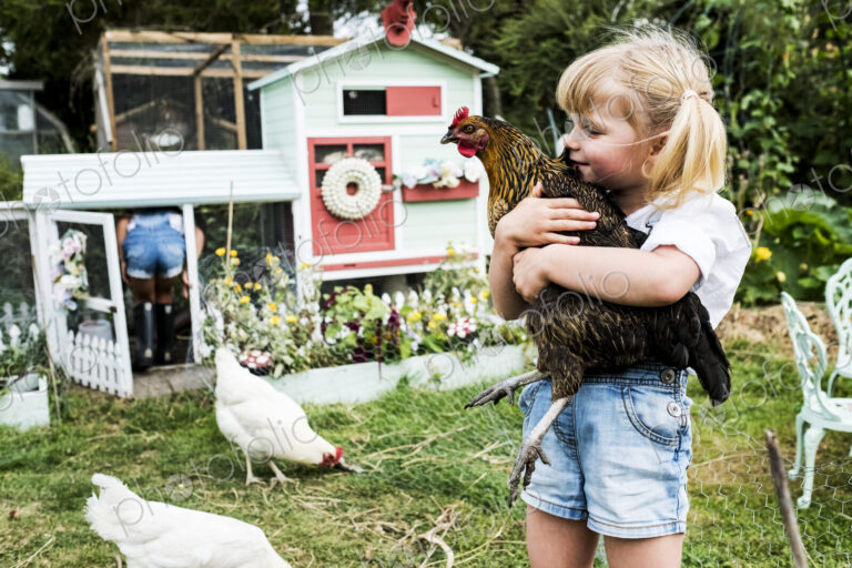 Blond girl standing in a garden in front of hen house, holding brown chicken.