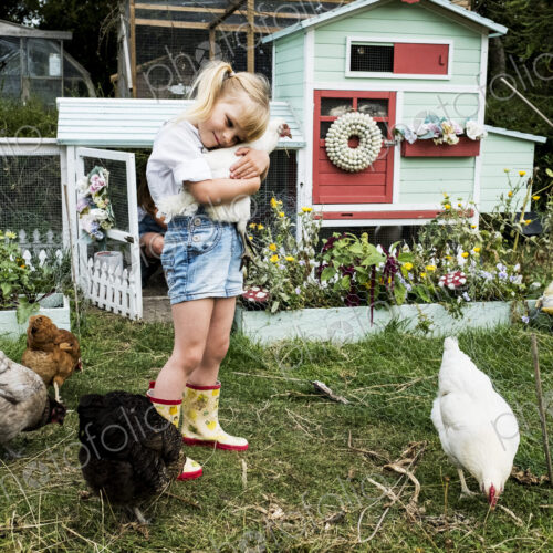Blond girl standing in a garden in front of hen house, holding white chicken. Blond girl standing in a garden in front of hen house, holding white chicken.