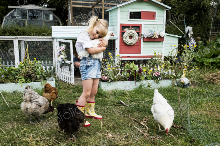 Blond girl standing in a garden in front of hen house, holding white chicken.