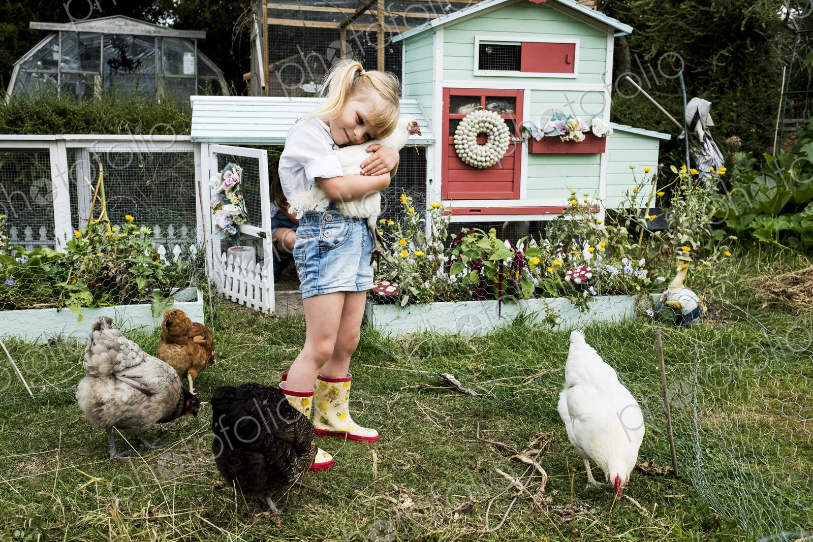 Blond girl standing in a garden in front of hen house, holding white chicken.