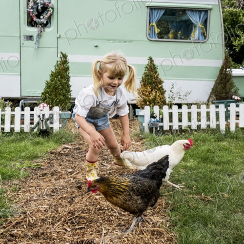 Blond girl with two chickens on a garden path, white and green retro caravan in… Blond girl with two chickens on a garden path, white and green retro caravan in…