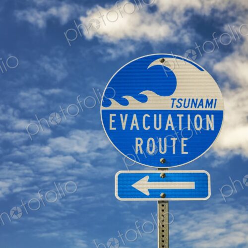 Blue and white tsunami evacuation route sign with arrow, photographed against a bright…