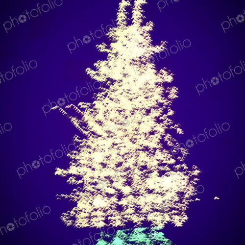 Blurred differential focus image of a Christmas Tree, white lights and green foliage,… Blurred differential focus image of a Christmas Tree, white lights and green foliage,…