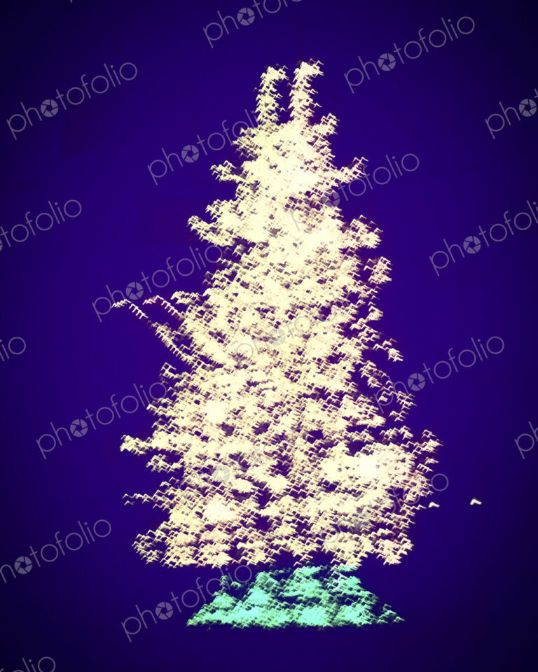Blurred differential focus image of a Christmas Tree, white lights and green foliage,…