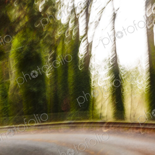 Blurred outlines of trees along a two lane rural road, Seattle