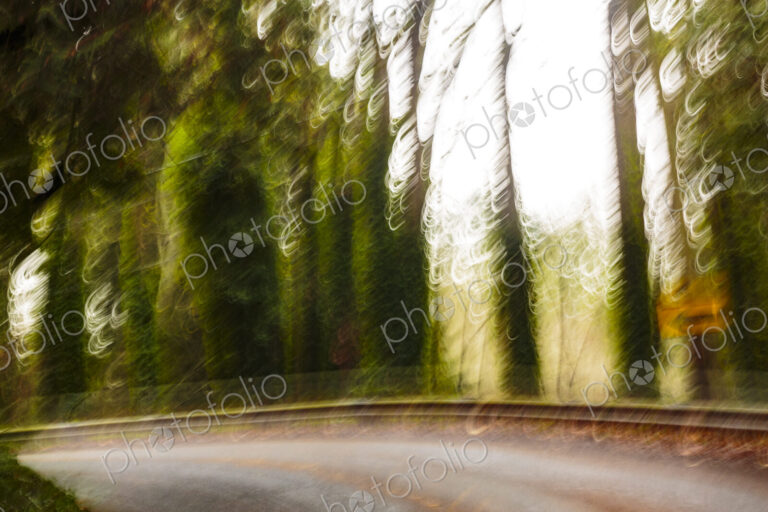 Blurred outlines of trees along a two lane rural road, Seattle