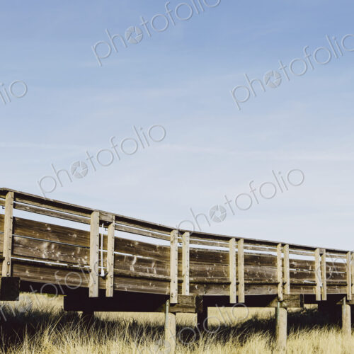 Boardwalk leading through grassy meadow Boardwalk leading through grassy meadow