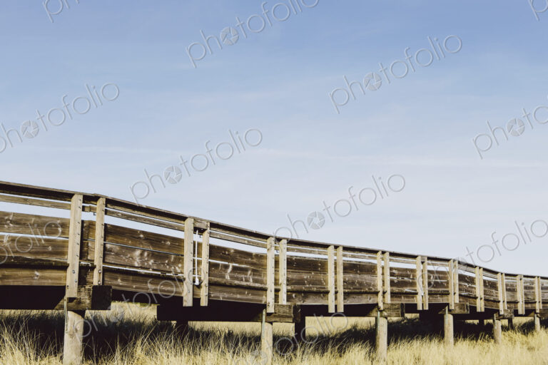 Boardwalk leading through grassy meadow