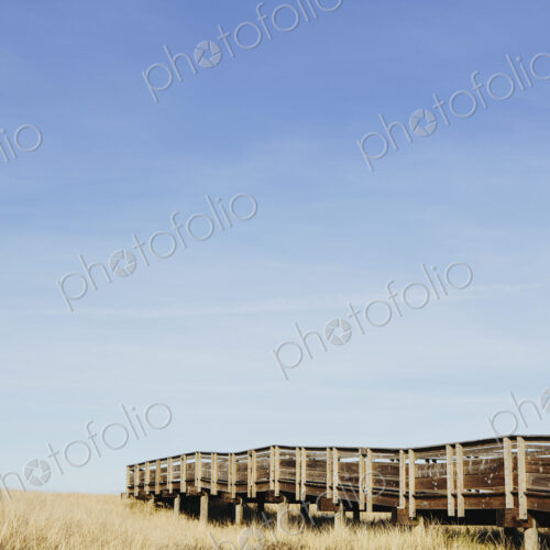 Boardwalk leading through grassy meadow, Boardwalk leading through grassy meadow,