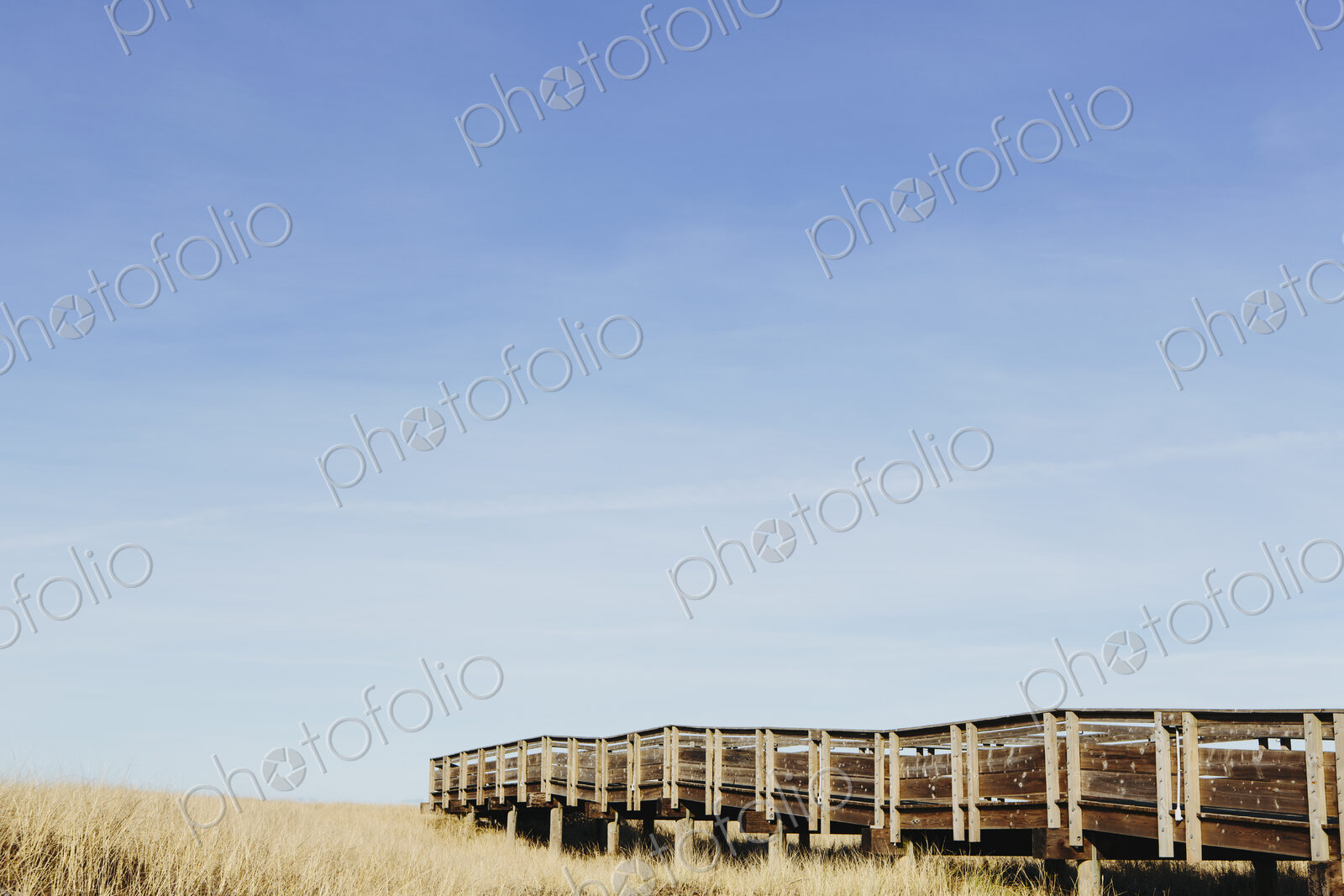 Boardwalk leading through grassy meadow,