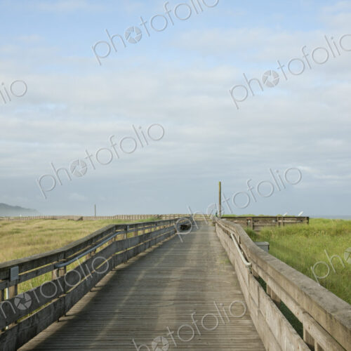 Boardwalk through grassland with mountains. Boardwalk through grassland with mountains.