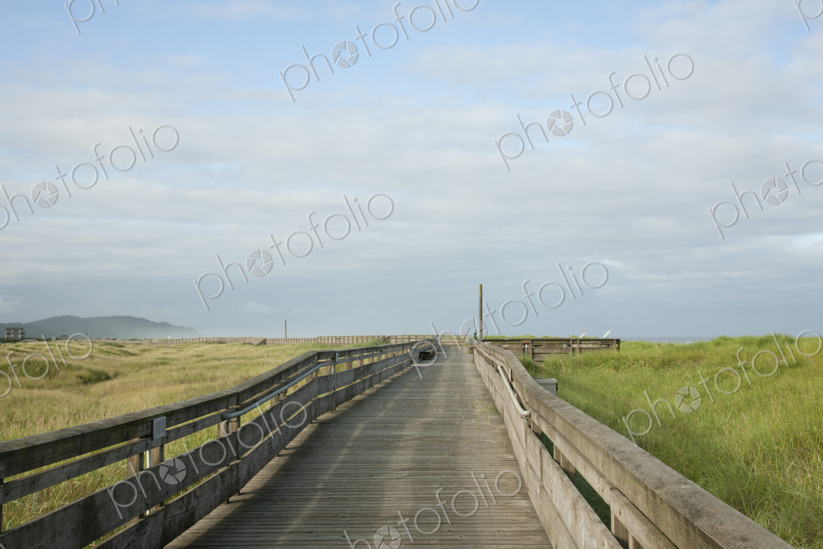 Boardwalk through grassland with mountains.