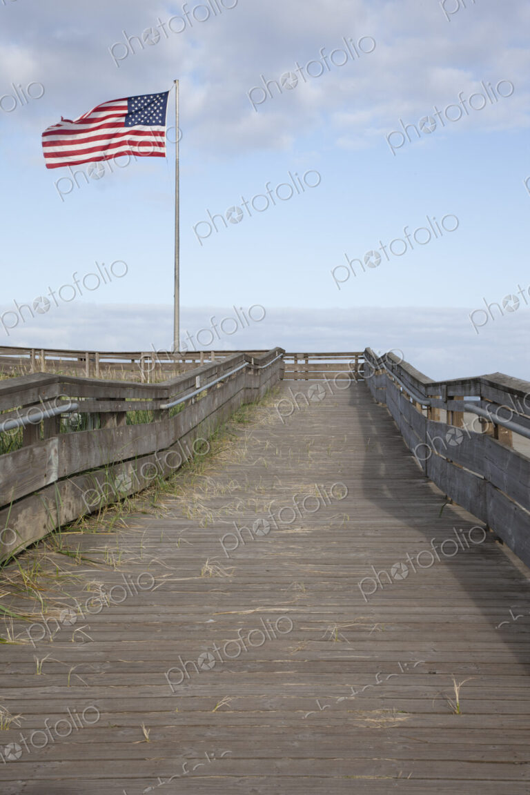 Boardwalk through grassland with mountains and American flag flying.