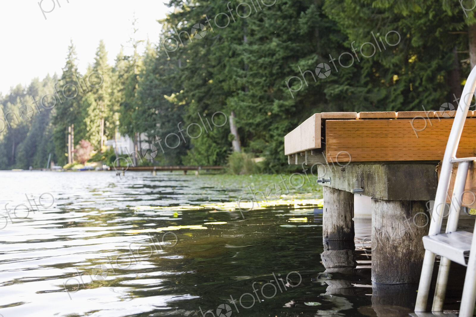 Boat dock on Lake