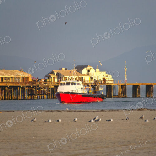 Boat on Water and Seagulls on Land