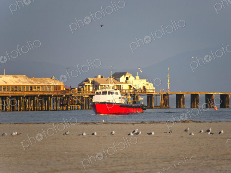 Boat on Water and Seagulls on Land