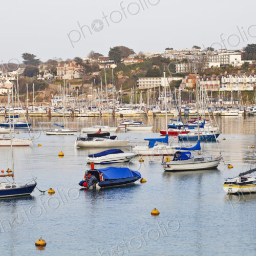 Boats in Harbor Boats in Harbor